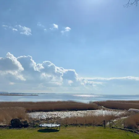 Moritz - Auf Hiddensee In Grieben