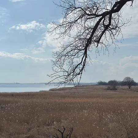 Moritz - Auf Hiddensee In * Grieben